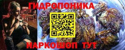 молекула духа Кингисепп