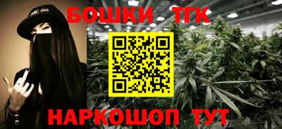 молекула духа Кингисепп