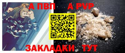 молекула духа Кингисепп