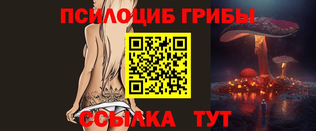 Коряжма  Псилоцибиновые грибы ЛСД  Псилоцибиновые грибы Cubensis  Вход с VPN 