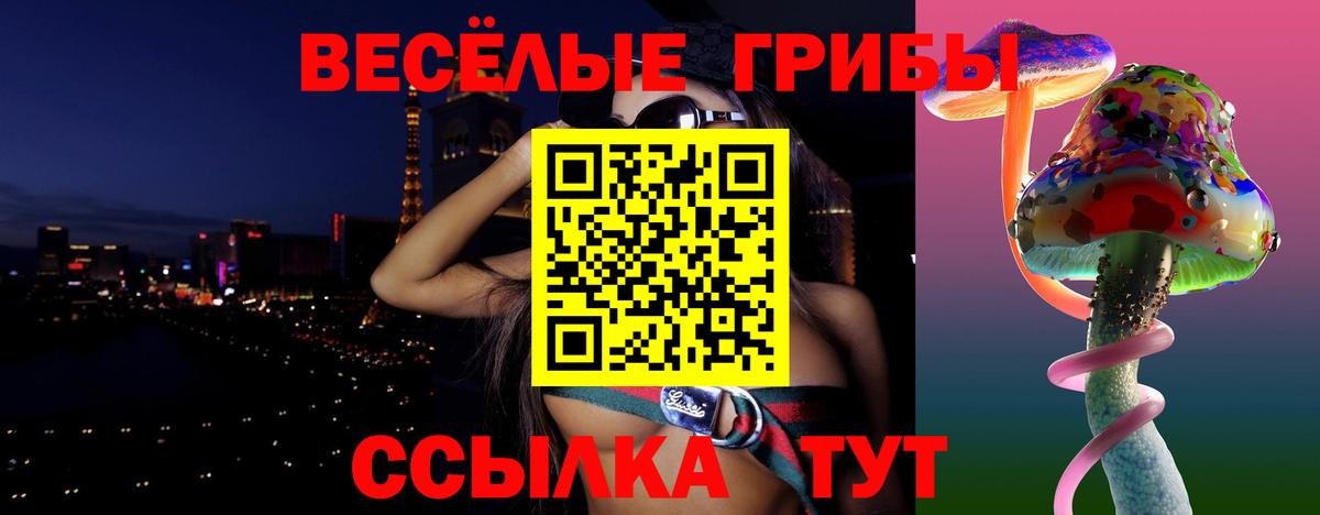 Псилоцибиновые грибы Psilocybe Коряжма